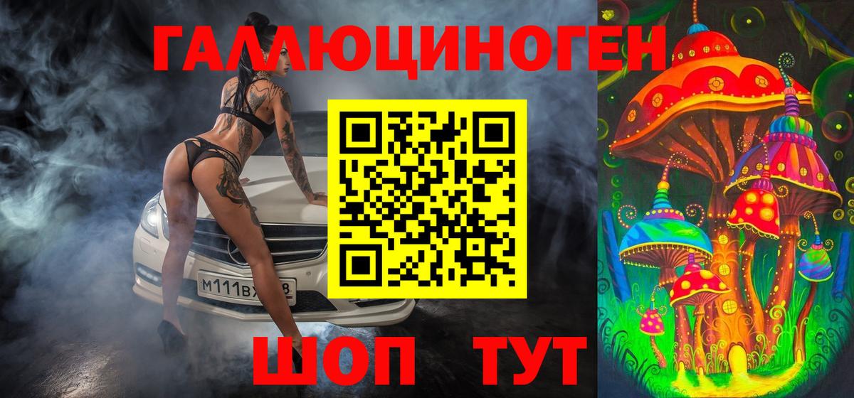 Псилоцибиновые грибы Psilocybe  Вход с VPN  Великие Луки 