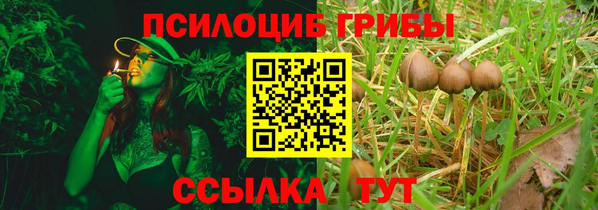 Галлюциногенные грибы прущие грибы Великие Луки